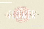 Filia - Script, Sans, & Bold Font, a Script Font by Inspiratype (Thumbnail 2 of 11)