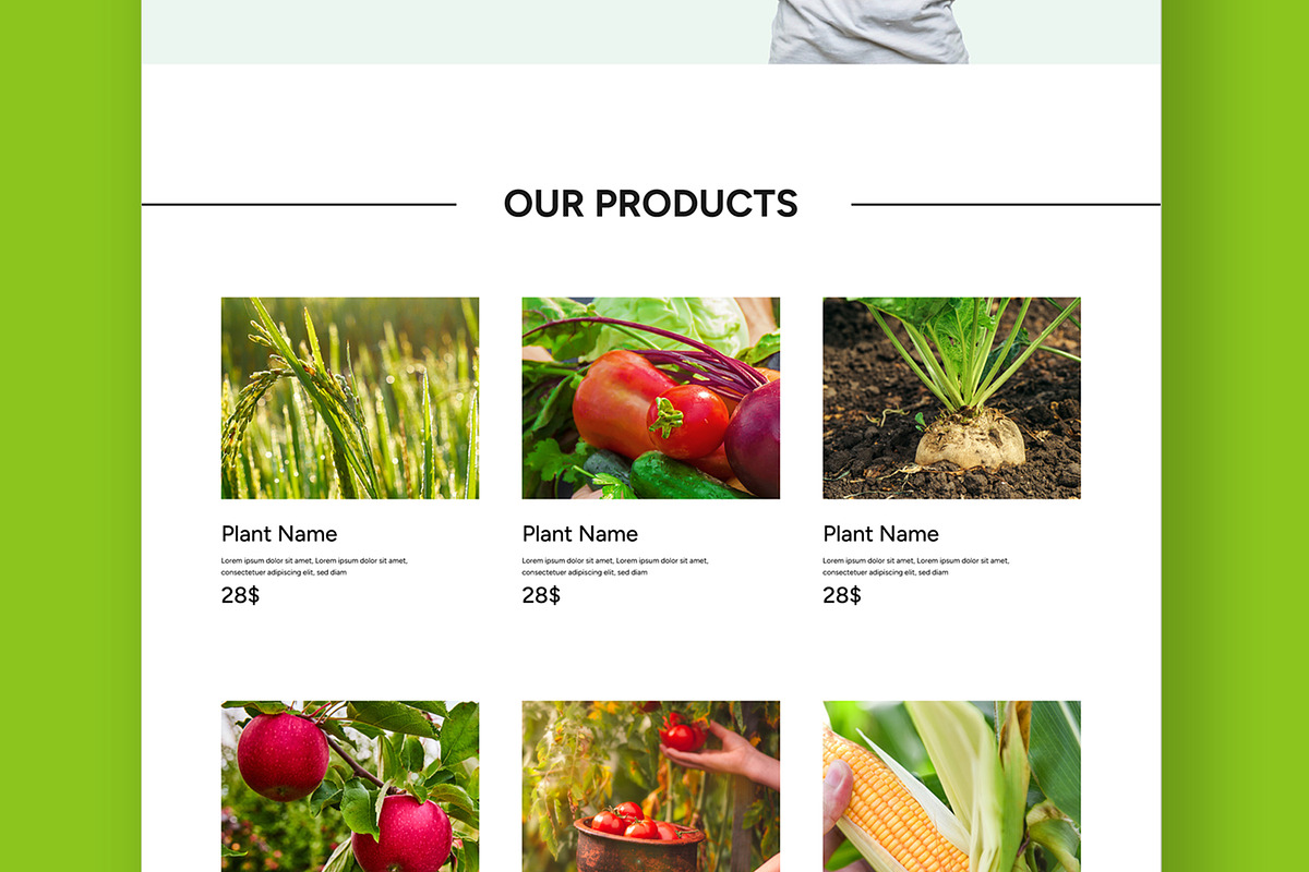 Plant Shop Landing Page, a Landing Page Template by ContestDesign (Photo 4 of 6)