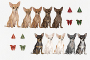 Watercolor Chihuauha png Clipart., an Animal Illustration by ColorfulPT (Thumbnail 2 of 6)