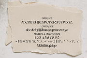 Sklines Chic Display Serif, a Serif Font by zamjumps (Thumbnail 9 of 11)