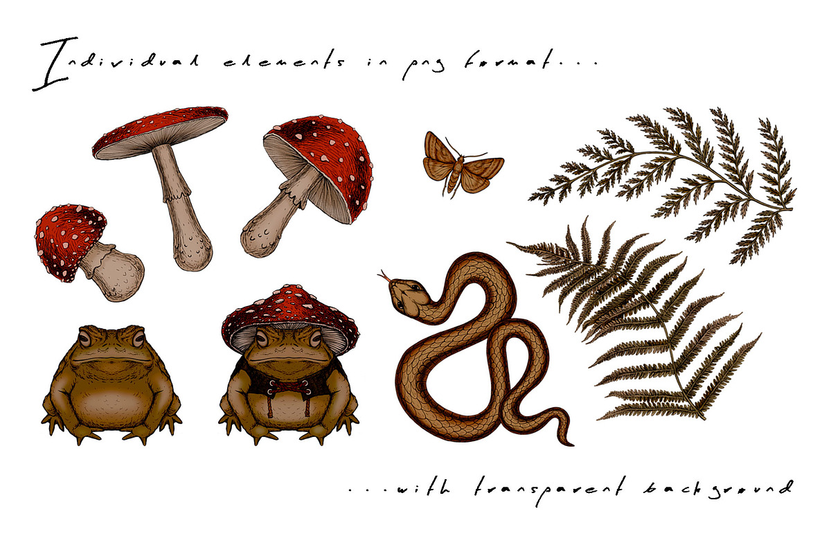 MIRACLE FOREST - patterns & motifs, an Animal Illustration by Liiafis (Photo 8 of 16)
