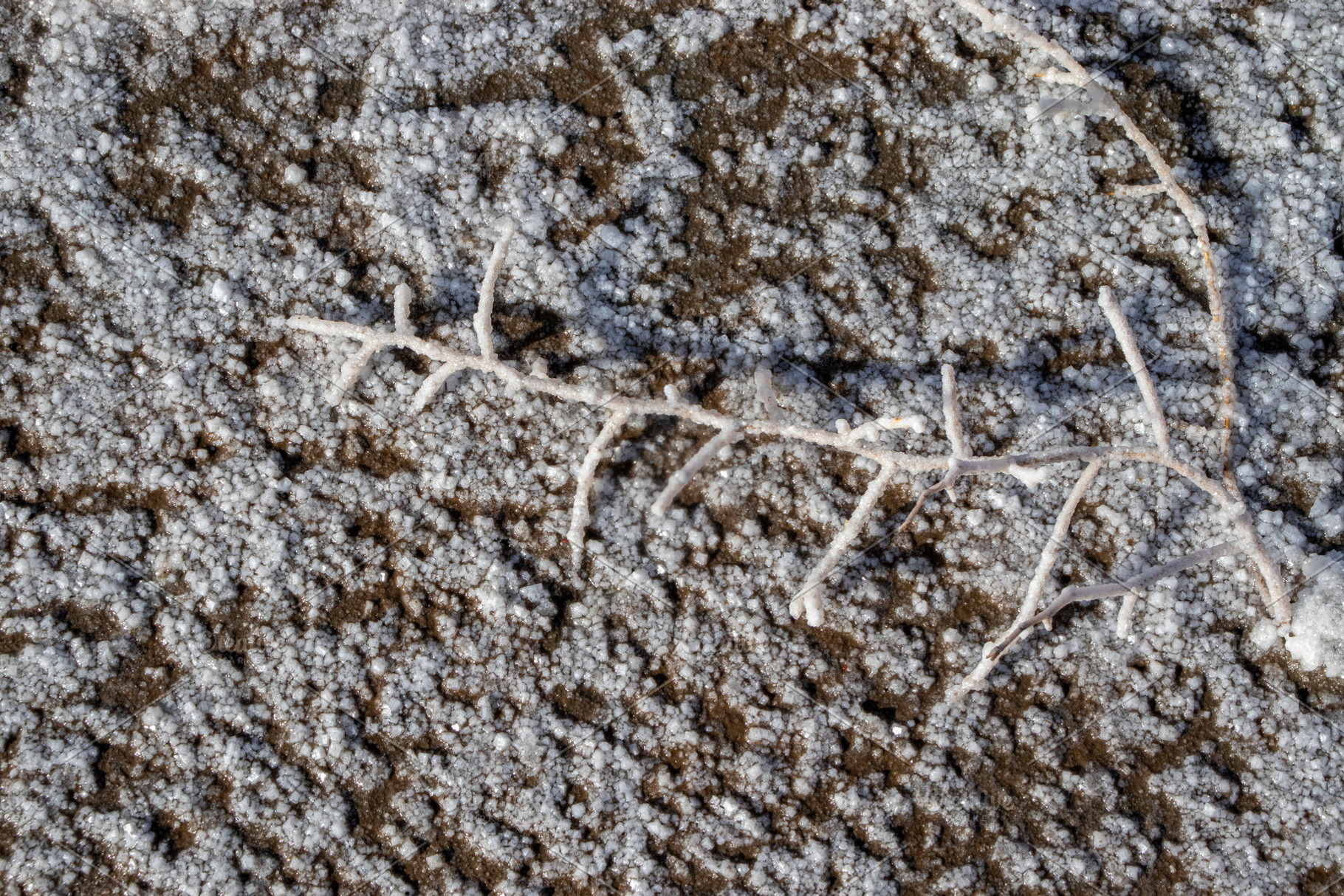 Salt-Crystals-Natural-Texture, a Person Photo by Schreibikus