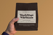 Brighters Peaceful Retro Serif, a Serif Font by timelesstype.co (Thumbnail 2 of 20)