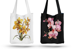 Orchids. Watercolor Clipart