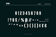 Negire, a Serif Font by Almeera Std (Thumbnail 3 of 6)