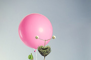 Smarty Planty - Plant life creator, a Product Mockup by envirographic (Thumbnail 14 of 24)