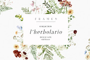 l'Herbolario - Wild Floral Graphics, an Illustration by studioequinox (Thumbnail 6 of 14)