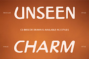 CS Briscoe Drawn, a Sans Serif Font by Craft Supply Co. (Thumbnail 3 of 8)