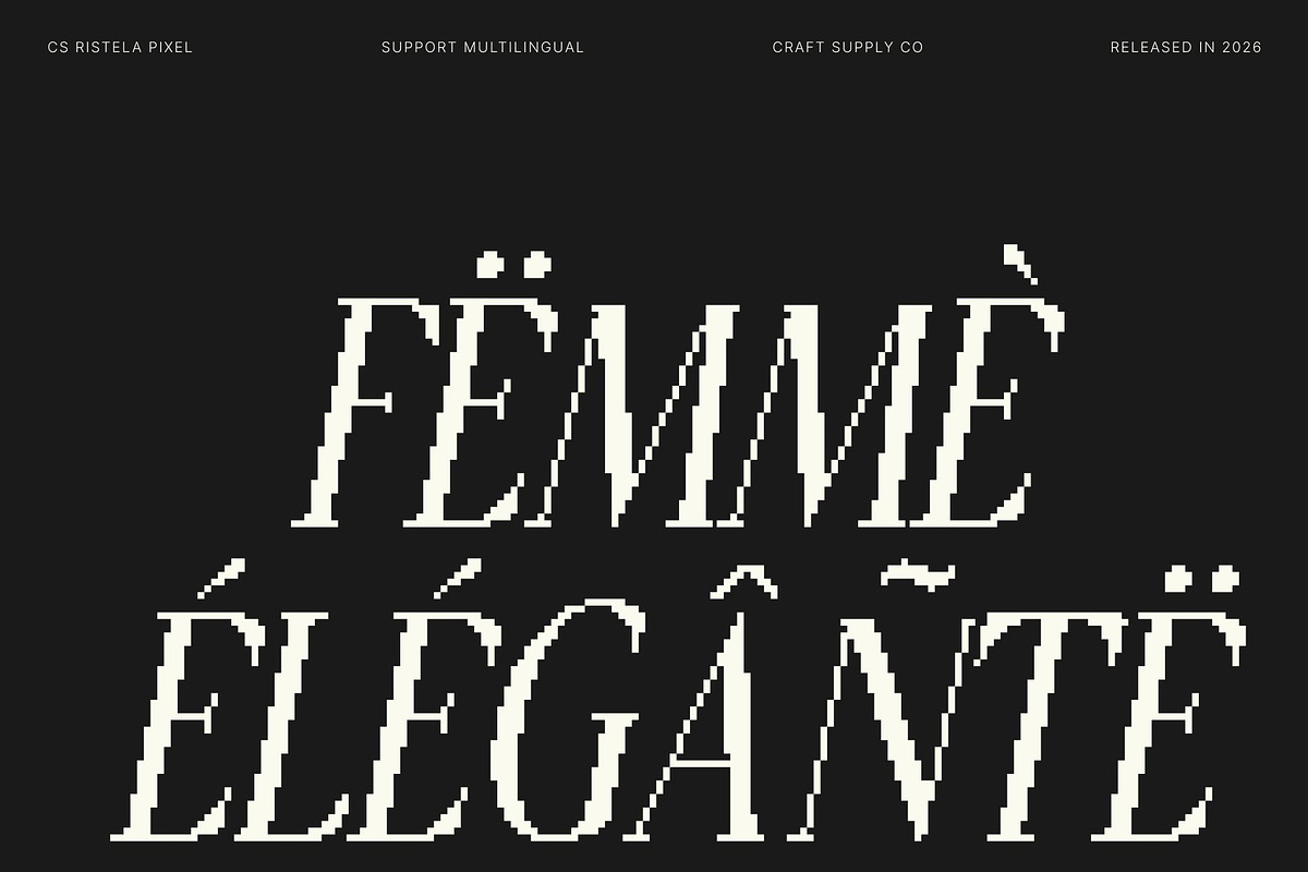 CS Ristela Pixel, a Serif Font by Craft Supply Co. (Photo 5 of 8)