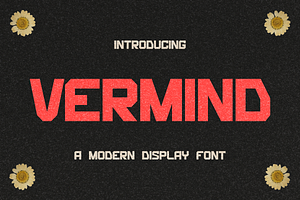 Vermind Display Modern Typeface