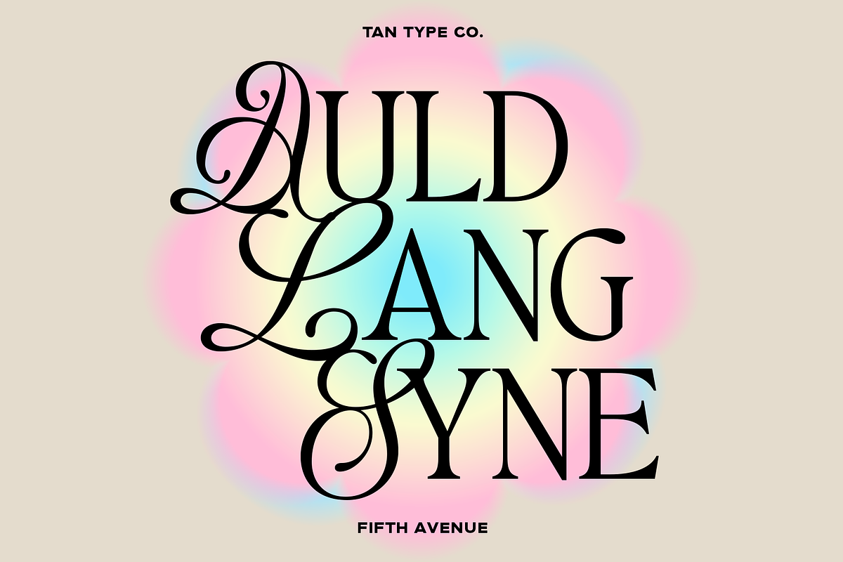TAN - FIFTH AVENUE, a Serif Font by TanType (Photo 10 of 11)