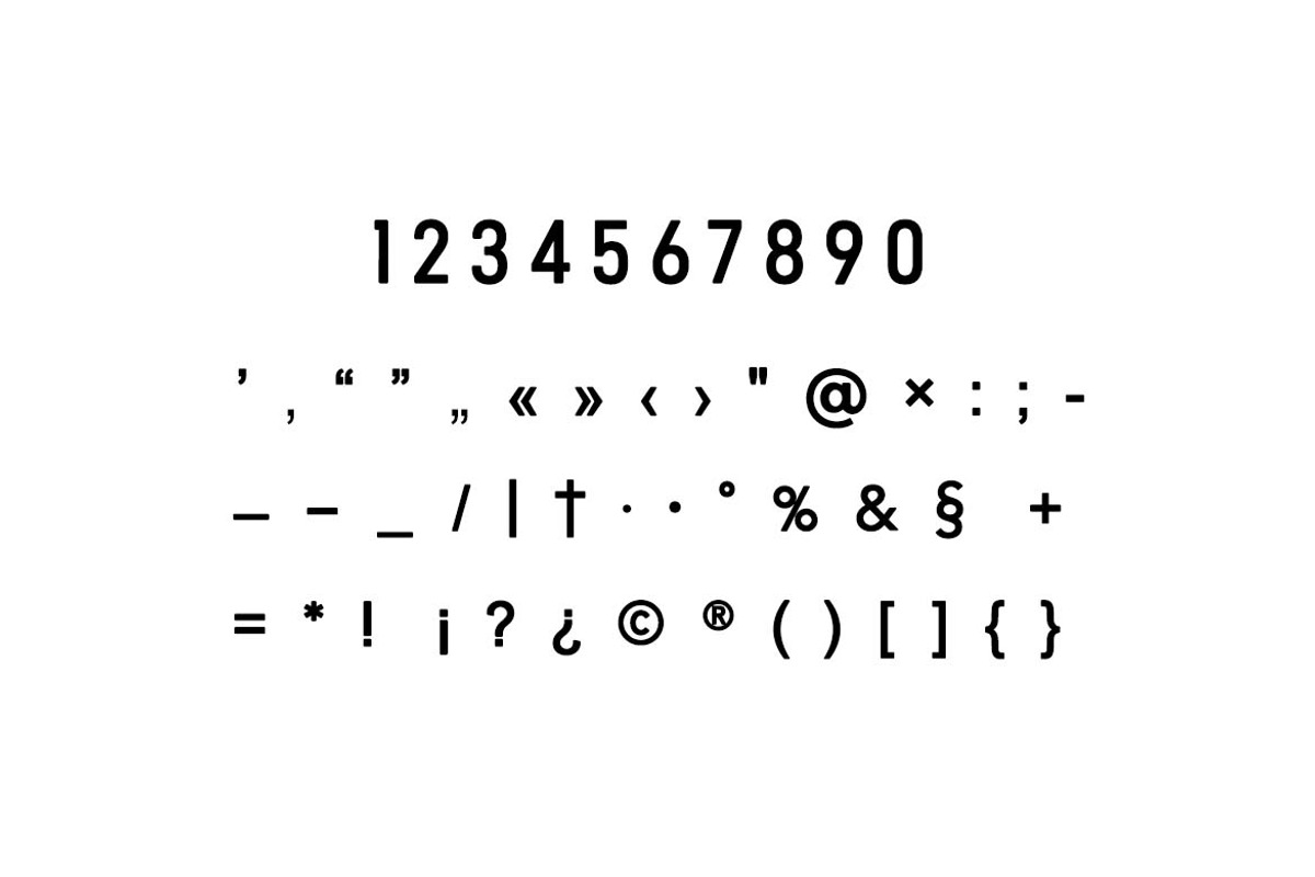 Proxyn Bold Condensed Font, a Sans Serif Font by UICreative (Photo 6 of 13)