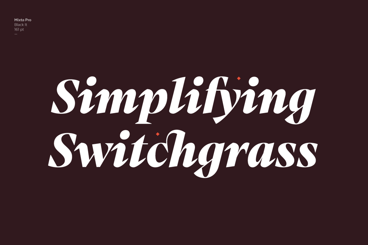 Mixta - Family 50% off, a Serif Font by Latinotype (Photo 13 of 15)