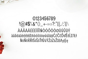 Adney Slab Serif Font Family, a Slab Serif Font by Creativetacos (Thumbnail 4 of 5)