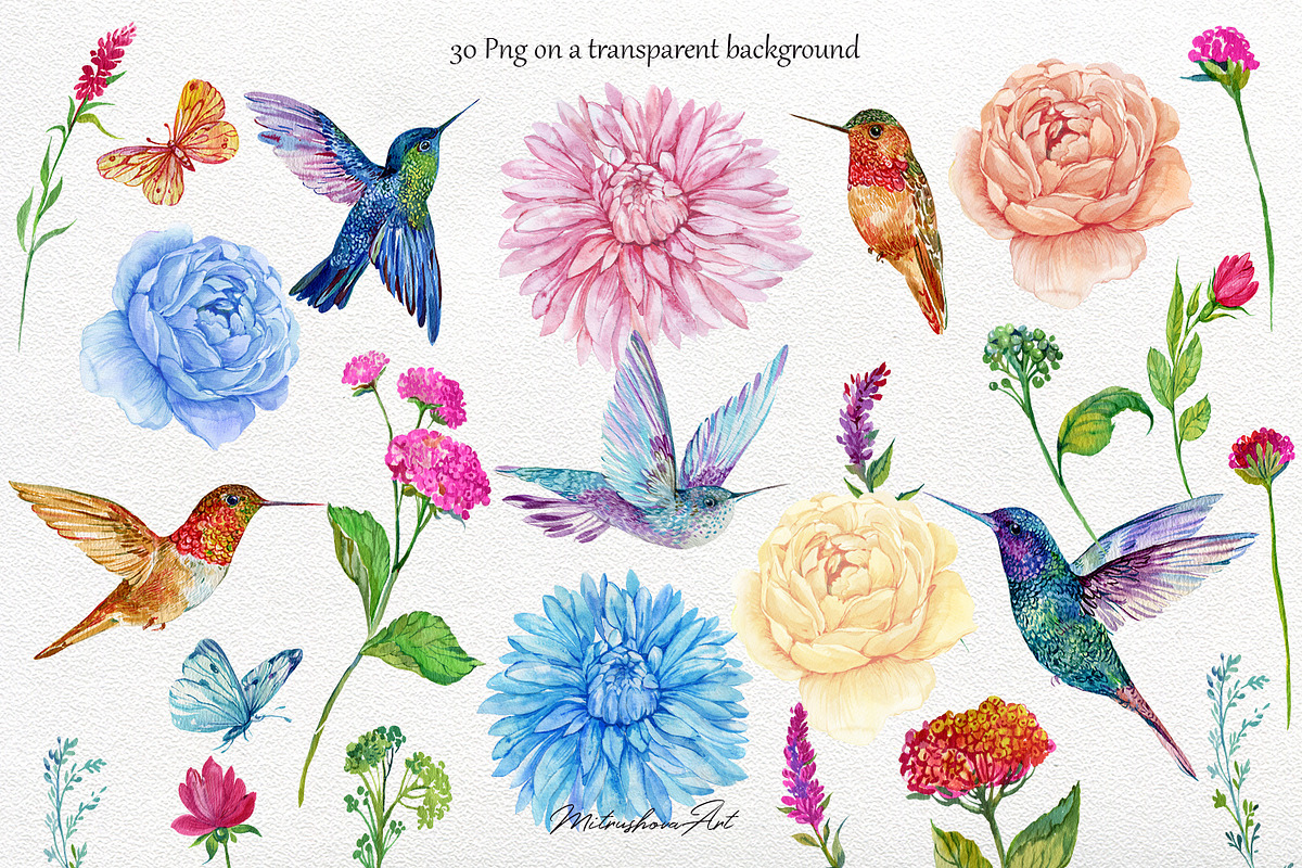 Tropical Birds Hummingbird Flowers, an Illustration by MitrushovaArt (Photo 2 of 5)