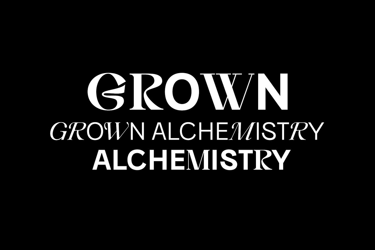 Blendix, a Sans Serif Font by Ryul Davidson (Photo 7 of 16)