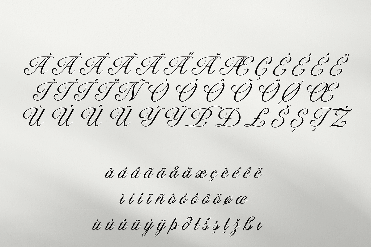 Macy Script, a Script Font by Creative Foundry (Photo 8 of 9)