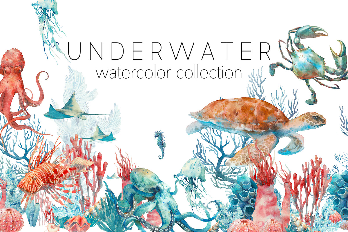 UNDERWATER watercolor collection, an Illustration by Eisfrei (Photo 1 of 7)