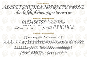 Almayra Font, a Script Font by mikailain (Thumbnail 5 of 5)