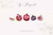 FIG & POMEGRANATE watercolor/pencil, a Decorative Illustration by long summer (Thumbnail 5 of 14)