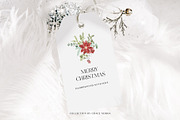 Christmas Floral watercolor graphics, a Decorative Illustration by Grace Noboa Illustrations (Thumbnail 12 of 15)