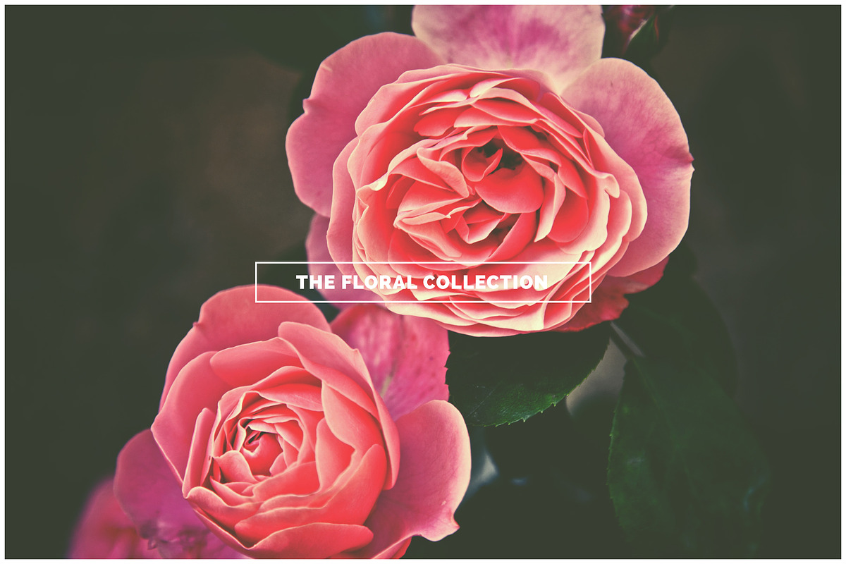 THE FLORAL COLLECTION iseeyouphoto preview 7