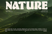 Roflake - Boldly Vintage Style, a Serif Font by roomspace creative lab (Thumbnail 10 of 14)