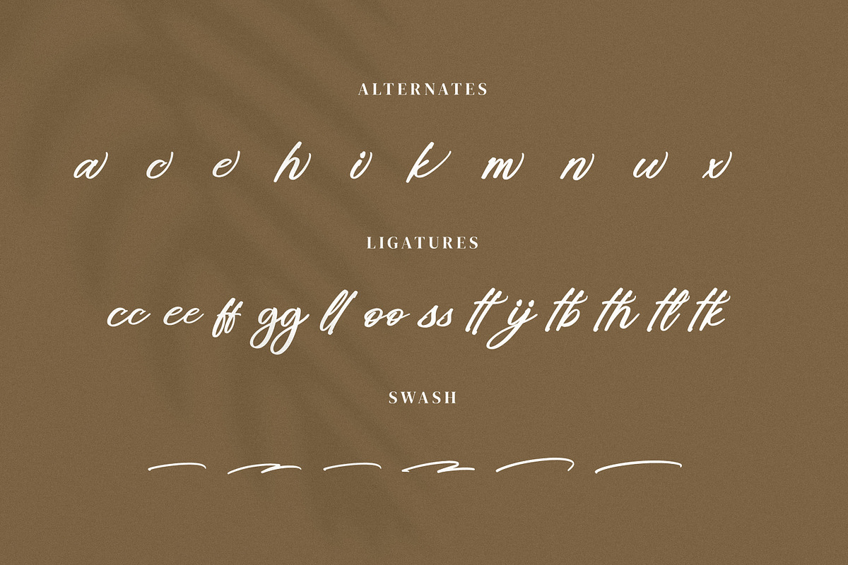 Briliany, a Handwritten Font by Goresan Studio (Photo 12 of 15)