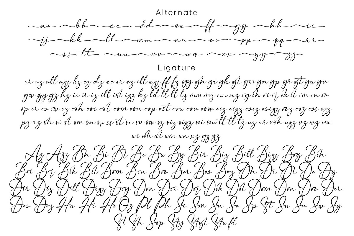 Shanghai Signature, a Script Font by Cititype (Photo 12 of 12)