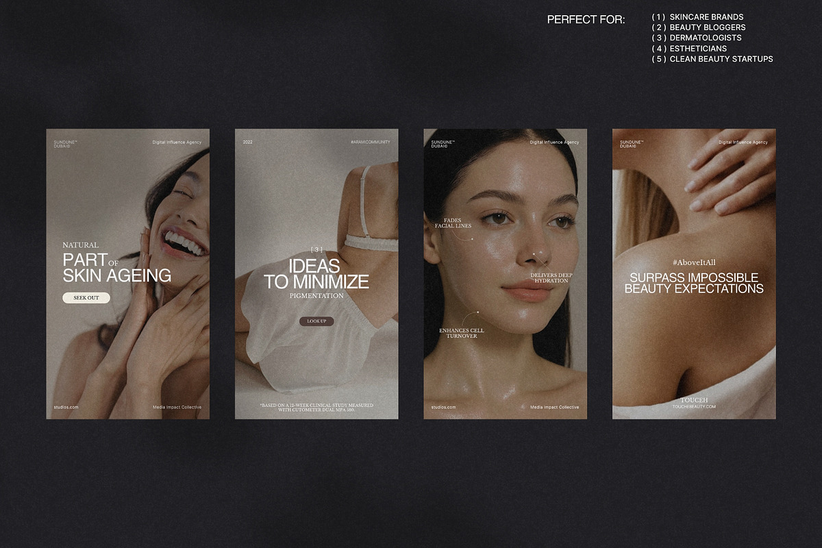 Elegant Skincare Canva Templates preview 2