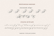 Switzerland Stylish Calligraphy, a Font by typeline studio (Thumbnail 11 of 12)