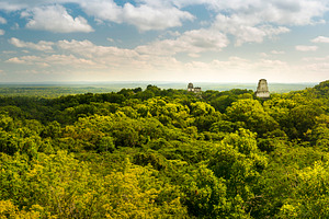 Tikal Guatemala Panorama, an Architecture Photo by THP Creative