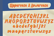 Winter Sign - Sign Painting Font, a Handwritten Font by Attype (Thumbnail 7 of 10)