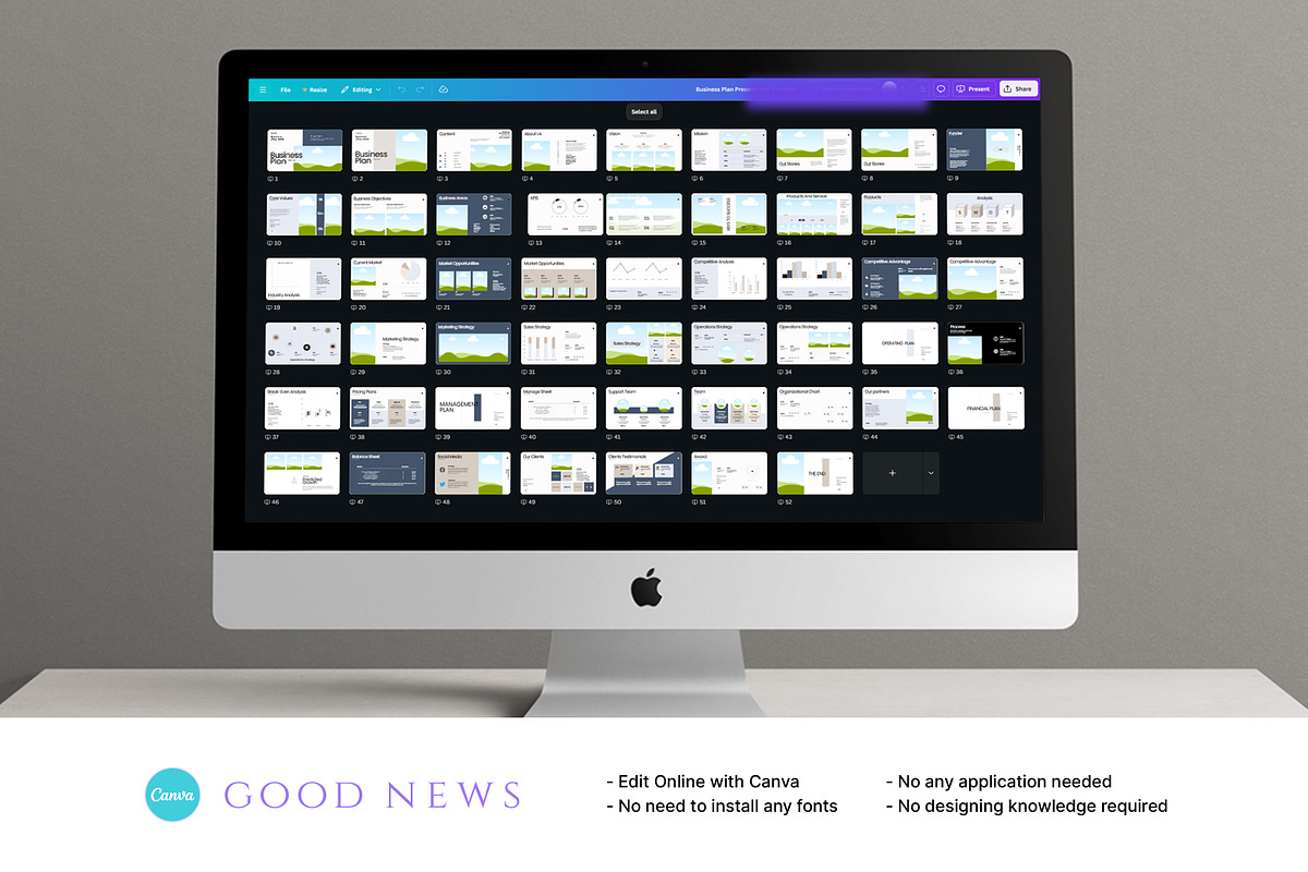Business Plan Presentation Template preview 5