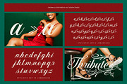Quality Hand Typeface, a Script Font by alit design (Thumbnail 16 of 20)