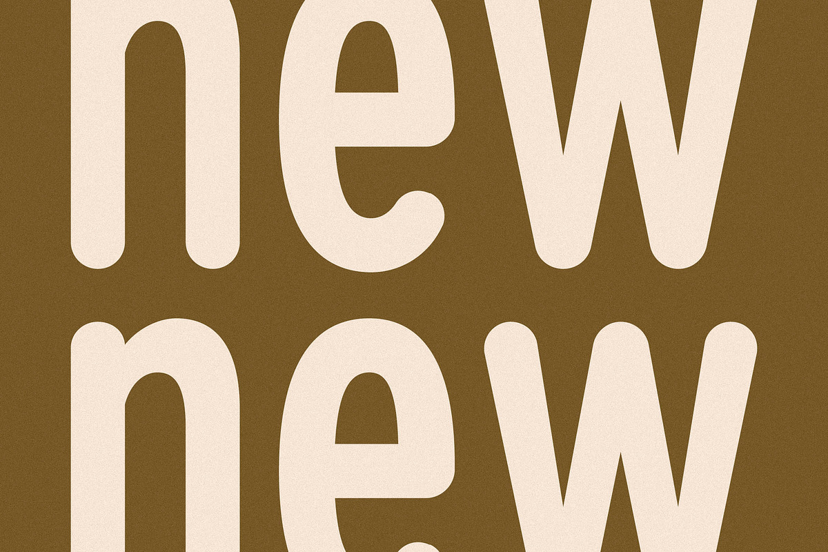 Cleudia Duo Font Sans Serif, a Sans Serif Font by Storytype Studio (Photo 3 of 15)