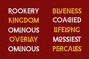 Gothica Modern Gm, a Serif Font by Zafiratype (Thumbnail 4 of 15)