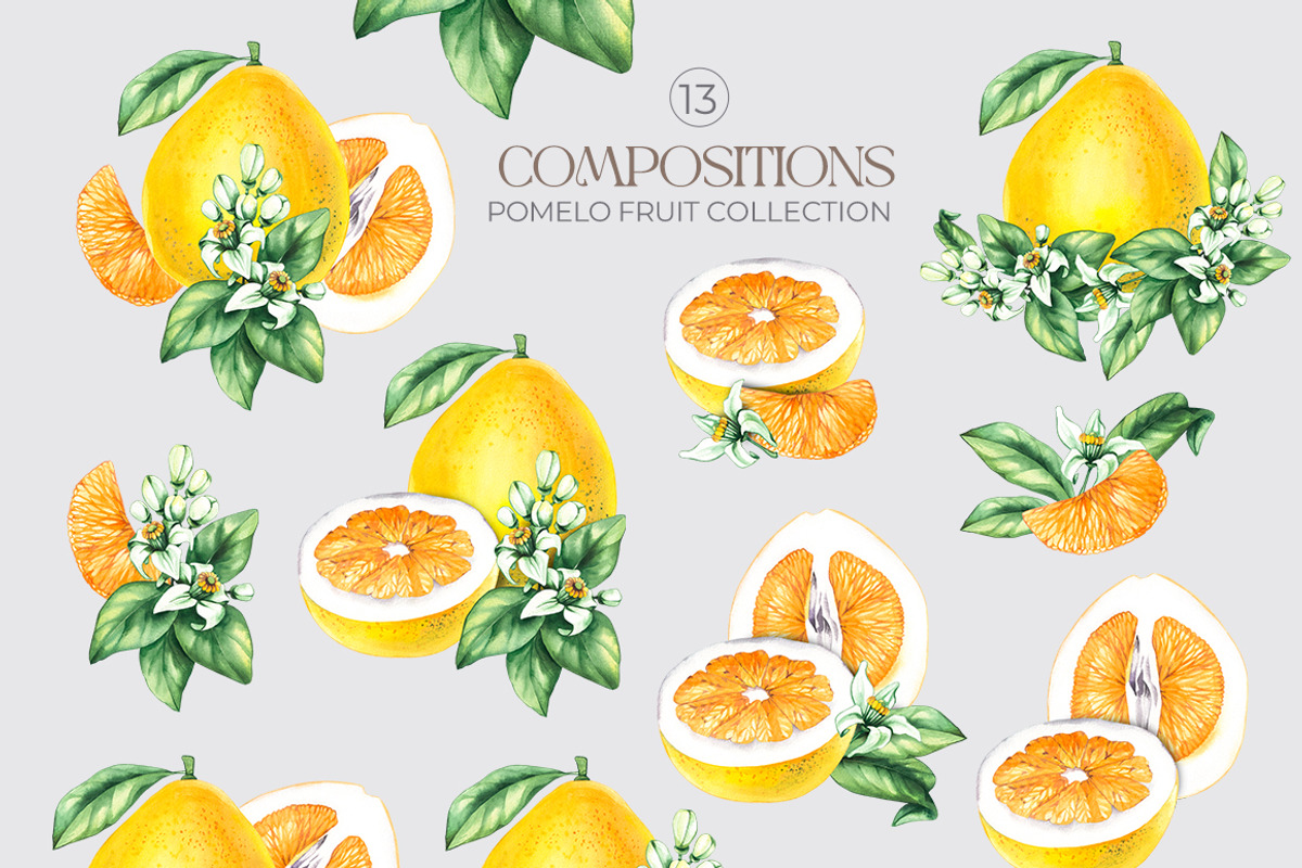 Pomelo Fruit Watercolor Collection, a Food Illustration by SashaKondr (Photo 9 of 13)