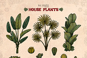 House Plants, an Object Illustration by Ink Stories (Thumbnail 6 of 23)