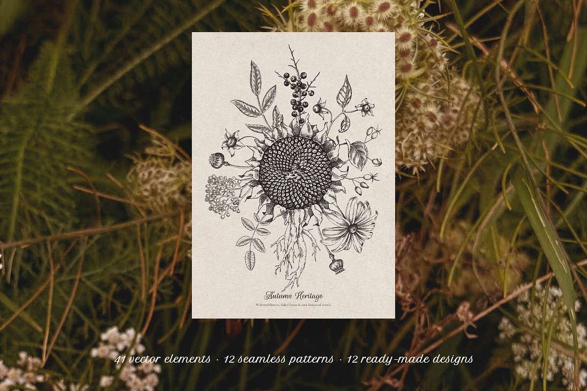 Autumn Heritage Botanical Collection, a Seasonal Illustration by Yevheniia (Photo 2 of 13)