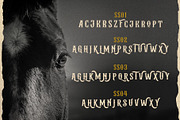 Albertson - Vintage Font, a Serif Font by Arterfak Project (Thumbnail 12 of 13)