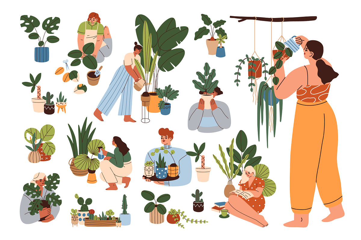 Women caring for house plants set, a Person Illustration by Good Studio (Photo 1 of 5)