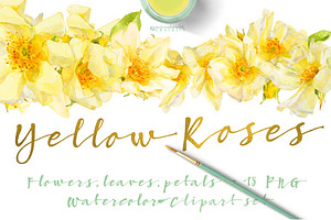 Yellow Roses -single species package