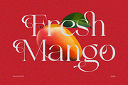 Velick, a Serif Font by zaaintype (Thumbnail 3 of 10)