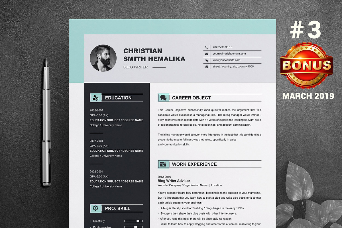 Resume/CV Bundle | 200+ for $29, a Resume Template by ResumeInventor (Photo 44 of 207)
