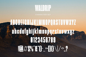 Waldrip - Modern Condensed Sans