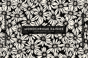 Monochrome Daisies