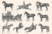 Horses - Vintage Illustration Set, an Illustration by Graphic Goods (Thumbnail 8 of 12)