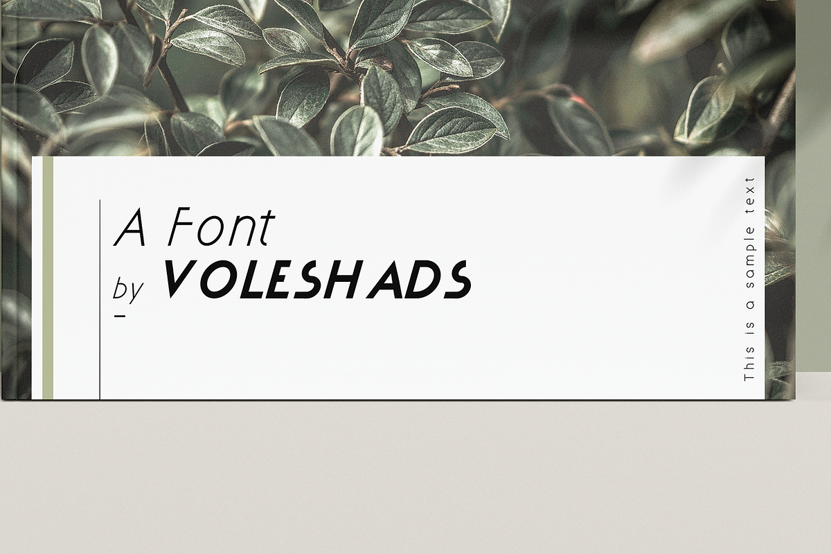Christmas Beam, a Sans Serif Font by Voleshads (Photo 8 of 8)