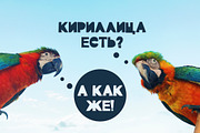 Font Jonny (latin & cyrillic), a Symbol Font by Alyonka_lis (Thumbnail 12 of 16)